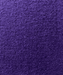 Las Vegas purple 4717