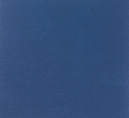 Revexpo bleu adm 1390